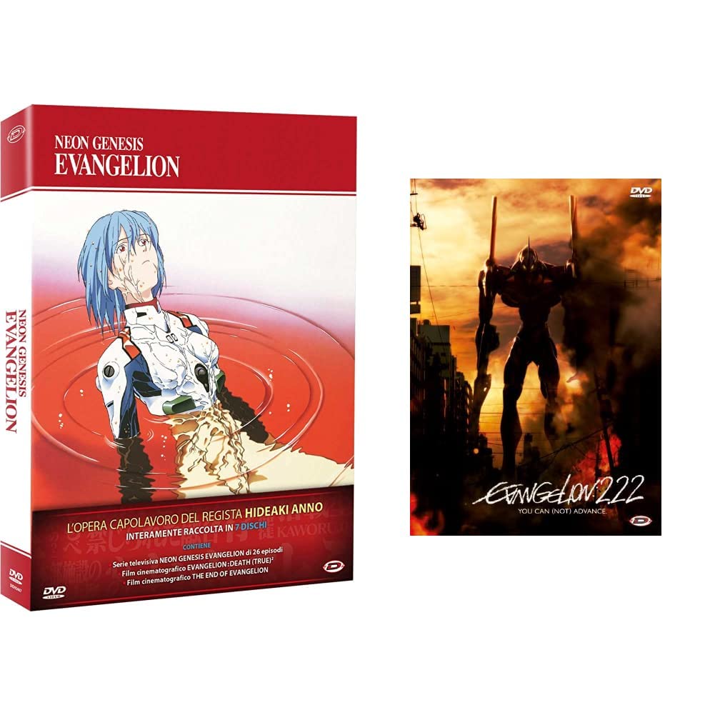 NEON GENESIS EVANGELION DVDセット Evangelion (Neon Genesis) - Intégrale (Platinum) - Edition Gold (7
